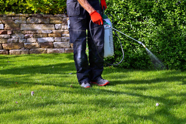 Best Residential Pest Control  in Hauppauge, NY